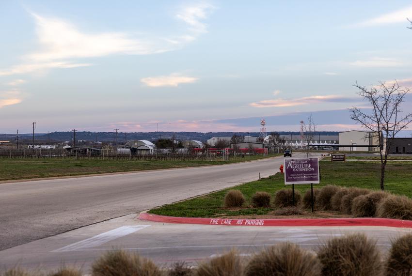 The sun sets over the Hill Country in Fredericksburg on Feb. 6, 2024. The mock election was staged at the Texas A&M AgriLife Extension in Gillespie Co.