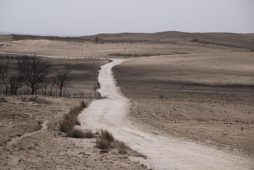 Charred ground left by the Smokehouse Creek fire after the fire burned through Currie Smith’s ranch Sunday, March. 3, 2024, in Hemphill County, Texas.