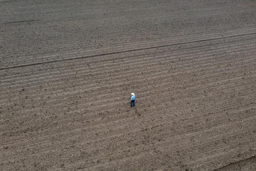 Mike England walks across one of the fields on his farm near Mercedes on April 18, 2024.