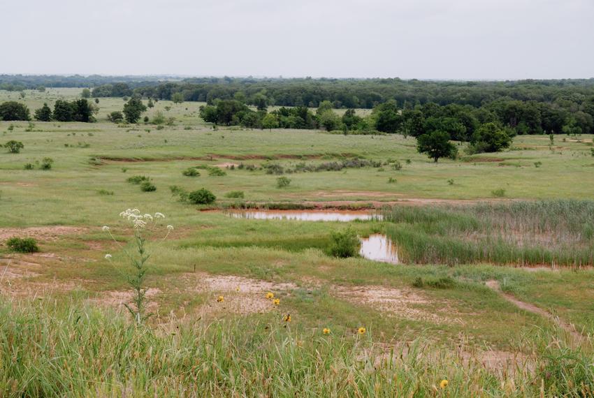 Land belonging to Deborah Clark, which she says will be inundated if the permit to build Lake Ringgold is approved, on Monday, May 6, 2024 in Henrietta, Texas. The city of Wichita Falls is seeking a permit to construct Lake Ringgold in Clay County, a reservoir the city says will help with future water needs. Residents and ranchers of Clay County say they will lose acres of their property and claim the project is unnecessary.                                                                            