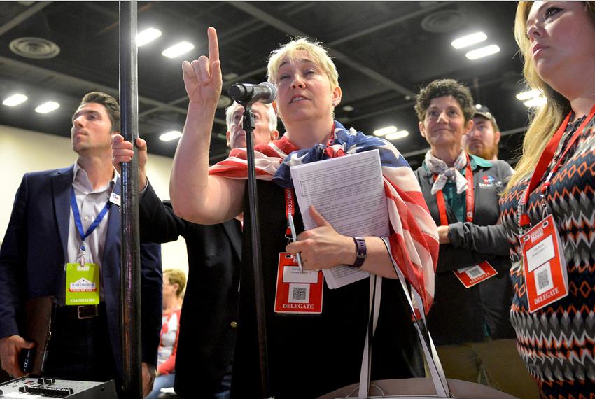 Elizabeth Menes makes a point during a platform debate at the Republican Party of Texas convention in San Antonio on June 15, 2018.