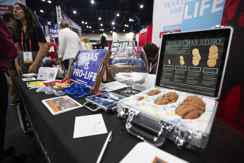 The display at the Texas Alliance for Life booth illustrates the development of a fetus during the Republican Party of Texas 2022 convention at the George R. Brown Convention Center in Houston on Friday, June 17, 2022.