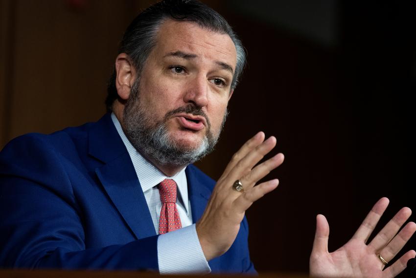 U.S. Sen. Ted Cruz speaks during the Senate Judiciary Committee hearing titled "Texas Unconstitutional Abortion Ban and the Role of the Shadow Docket", in Hart Senate Office Building in Washington on Sept. 29, 2021.