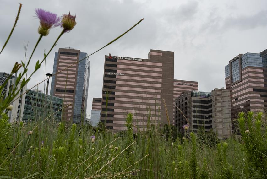 Texas Children’s Hospital and other buildings in the Texas Medical Center in Houston on June 26, 2020.